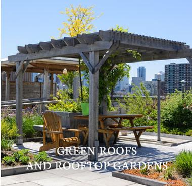 Green Roofs and Rooftop Gardens